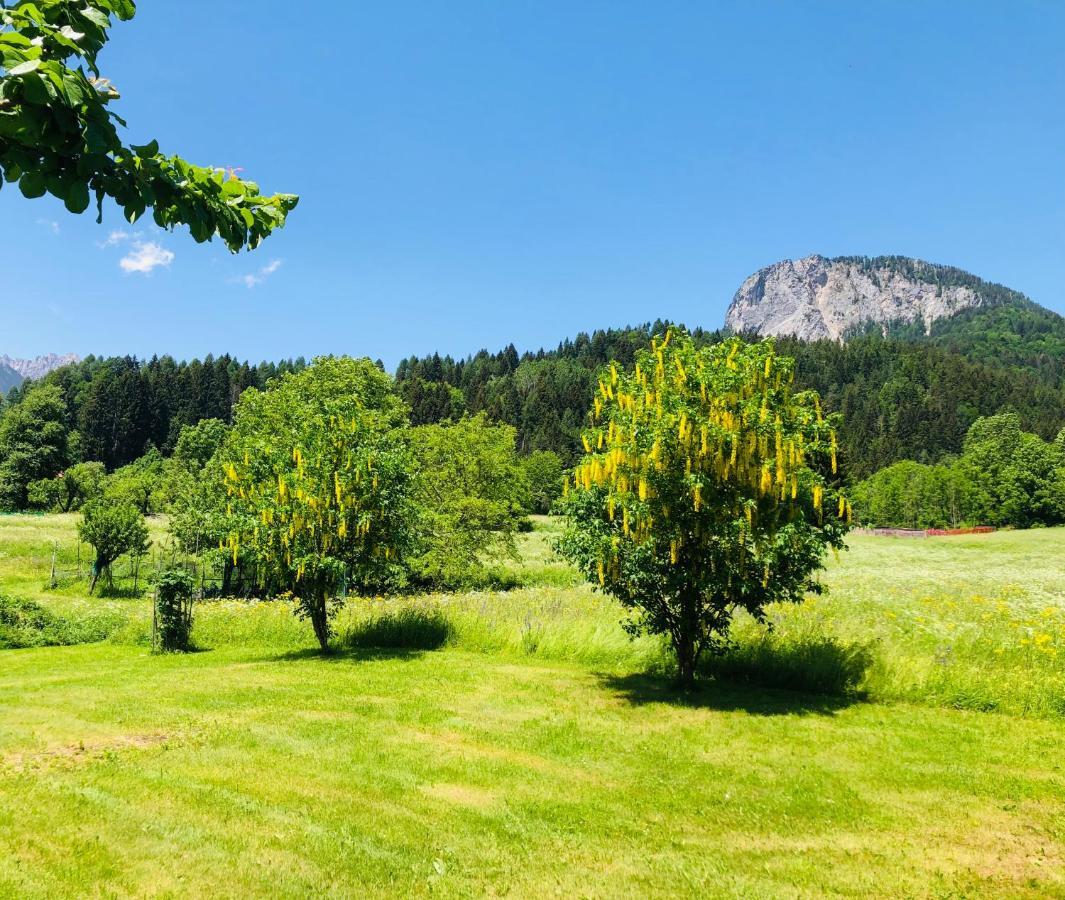 Residence Dolomiti Форни-ди-Сопра Экстерьер фото